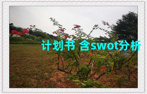 计划书 含swot分析